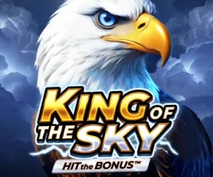 King of the Sky: Hit the Bonus