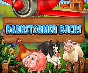 Barnstormer Bucks