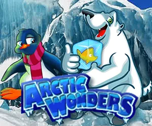 Arctic Wonders