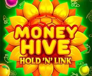 Money Hive Hold n Link