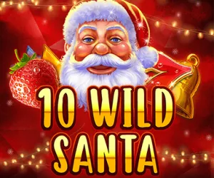 10 Wild Santa