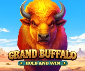 Grand Buffalo Hold and Win